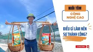 Mô hình nuôi tôm đột phá sử dụng thức ăn của Thiện–Bí mật nằm ở đâu?/Vũ Đức Thiện