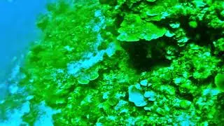 Paliton Sanctuary 6