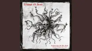 Blood Insanity (Live)