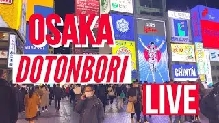 Osaka Dotonbori Live, Japan