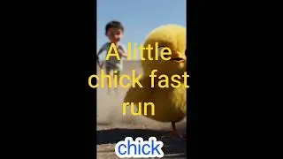A little chick fast run #chick #shorts #chickrun