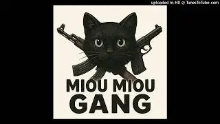Miou miou on top
