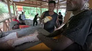 From Seeds to Foods: How Indonesia&rsquo;s Sago Plantations Give Life to the People
