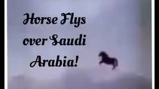 Flying Horse over Mecca 23/11/2014