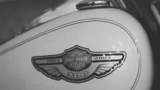 ★ TWIST AND SHOUT! THE 50's and 60's SHOW ★ Blow Rock Ecs Dogana