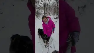 AUSSIE PUPS - NOKI AND NAULI NAJA #australianshepherds #mountains #pink #dogs #stick #kid #outdoors