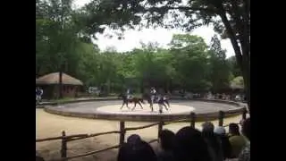 Equestrian feats performance at Korean Folk Village