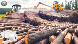 15 Million Tons of Wood Are Harvested And Processed To Make Paper This Way