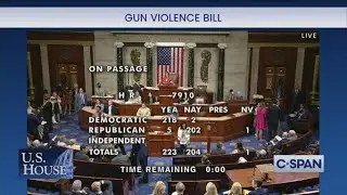 C-SPAN StudentCam 2023: Action on Gun Reform