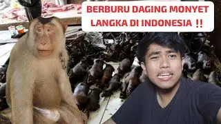 MERASAKAN DAGING BERUK DI BEKASI ‼️ 