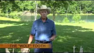 The Owner's Guide to Horse Teeth & Equine Dental Care with Ed McCarty