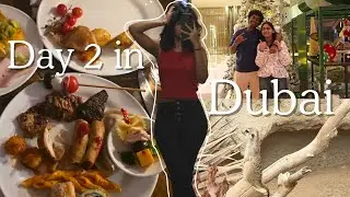 Day 2 in dubai!!/dubai travel vlog/dubai safari park/Hanna Shajohn/Dini Shajohn /Kalabhavan Shajohn 