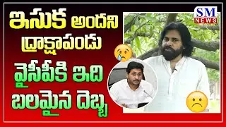 Pawan kalyan Sensational Comments on YS Jagan Government  || #sand issue YSRCP || SM News