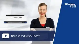 (ES) B&aacute;scula industrial Puro&reg;