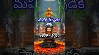 🥛 Divine Mahadev Abhishekam | The Most Satisfying Ritual 🕉️ #shiv #shiva #shorts #harharmahadev #fyp