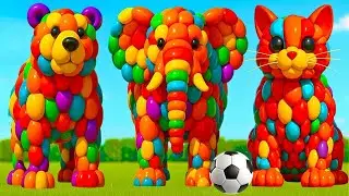 The mascot vibrato assistant dog placed on the football field is popular, co-produced, and creative
