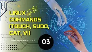 Essential Linux Commands: touch, sudo, cat, & vi Explained