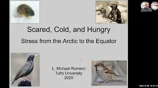 Dr. Michael Romero
