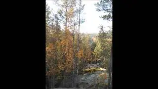 Virsi 293 En tahdo Herrastani /Topi Lehtipuu