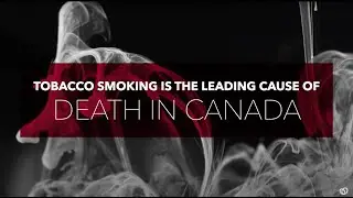 The Ottawa Model for Smoking Cessation