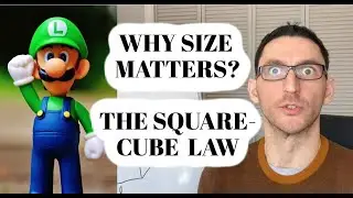 The SQUARE-CUBE LAW: How big can things be 🐳  and why size matters?