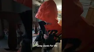 LAMP Words for Life - Let&rsquo;s go walk! Alternative communication #aac #augcomm