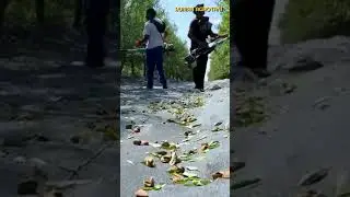Panen Kacang Almond di Amerika