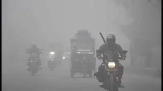 IMD Alerts For Heavy Rain In Tamil Nadu, Kerala; Dense Fog In Northeast