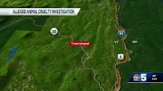Nearly 40 horses seized from Vermont farm during animal cruelty investigation