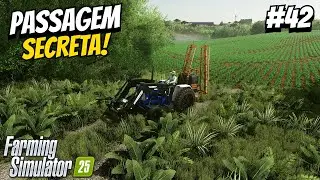 ENFRETANDO PROBLEMAS COM AS ERVAS DANINHAS DA FAZENDA PITANGUEIRA #42