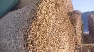 Защитный флис для укрытия скирд соломы от Ланитэкс, зимой, спустя полгода применения.
