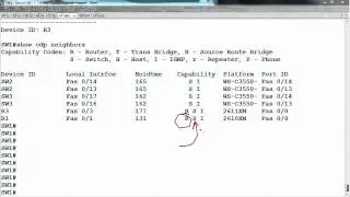 Cisco Discovery Protocol (CDP)