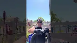 Honesty, Psychology , Sociology and Grill Cleaning @ Planet Steve.
