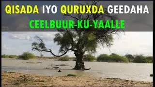 Qisada iyo QUruxda Geedka Ceelbuur ku yaalle