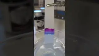 Ink Chromatography Time Lapse | De Atramentis Lilac #fountainpen #fountainpenink