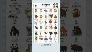 30 Từ vựng tiếng Nhật về Động vật（動物）