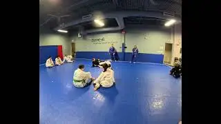 Ankle lock principles 