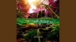 Listen to the Nature
