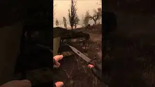 Surrounded by dogs in Stalker Anomally Gamma