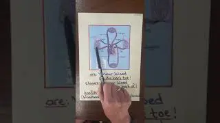 Gr.9 Die Sirkulasiestelsel (3)