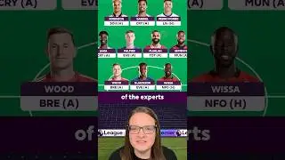 FPL Experts GW17 REVEAL! 👀