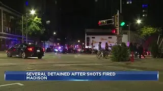 Madison Police fire shots during downtown incident