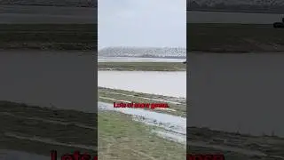 Snow geese by the thousands  @RogersSG . #snowgoosehunting