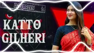 KATTO GILAHRI|NEW BARAT SPECIAL MIX 2026|EDM BOOM BASS DJ PRASHANT CHARKHARI 