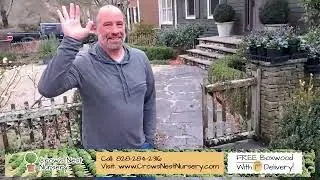 Crows Nest Nursery | Boxwoods For Sale Athens GA | Tony Testimonial