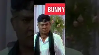 Bunny vas....Now a days interviews abt bunny #youtubeshorts #memes #funny #youtuberchannel