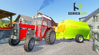 UTH19 - Feeding Cows