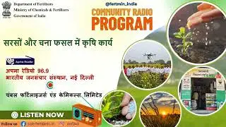 सरसों और चना फसल में कृषि कार्य