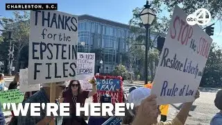 Activists rally in downtown Charleston for 'Remove the Regime' day amid permit disputes