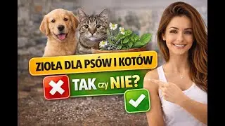 Jak Wykorzystać Zioła w Diecie Psa i Kota? Najczęstsze Błędy i Dobre Praktyki